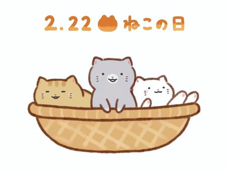 スーパー猫の日(=^・^=)