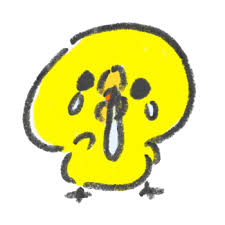 綺麗な青空ですが・・・