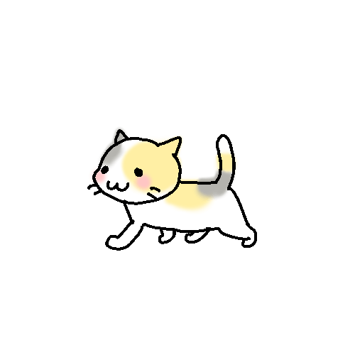 スーパー猫の日(=^・^=)