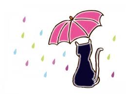 雨ひどくなってきましたね”(-“”-)”