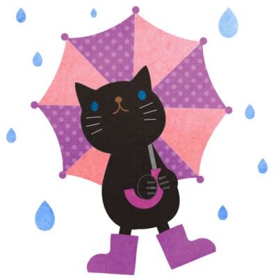 雨ひどくなってきましたね”(-“”-)”
