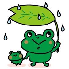 また雨ですね・・・