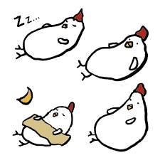 爽やかなお天気ですね~